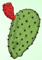 Nopal